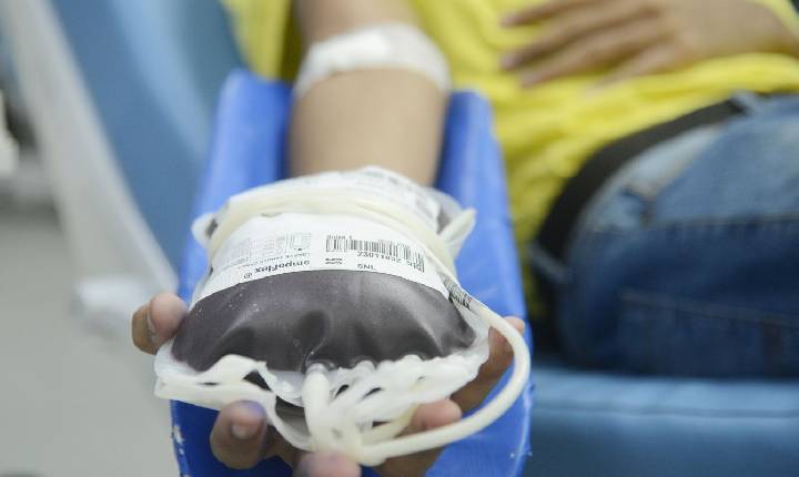 Doação de sangue: espera para quem fez tatuagem e piercing será menor
