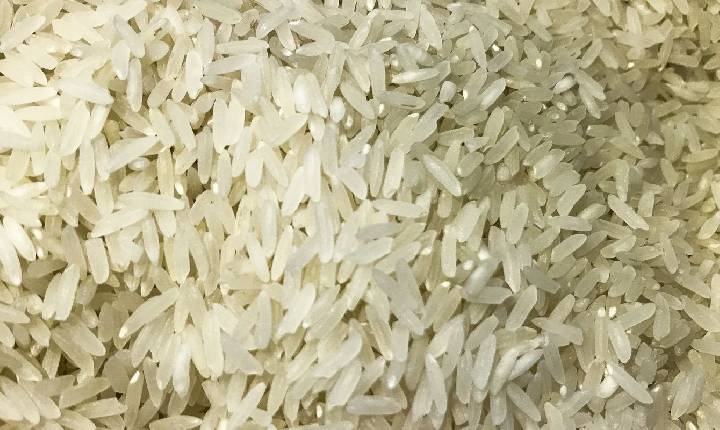 Terremoto: Brasil doará 10 toneladas de arroz à Colômbia