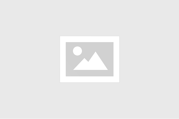 APURAÇÃO DOS VOTOS - ELEIÇÕES 2026