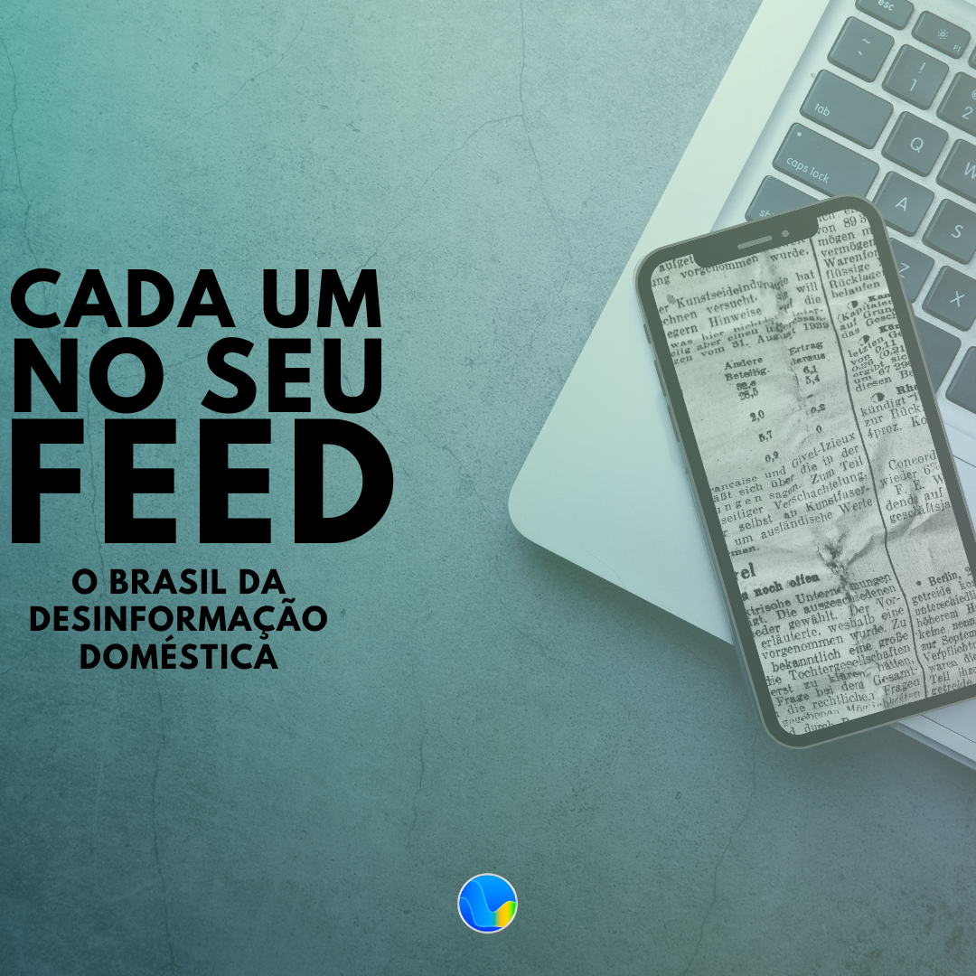 Cada um no seu feed: o Brasil da desinformação doméstica